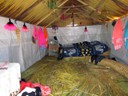 Inside totora reed house