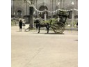 Kalesa in front of Holy Rosary Catholic Church