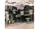 Angeles City Market