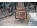 High Sierra loop trail