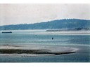 Fog on the bay at Yarmouth, Nova Scotia, Canada