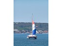 Sydney Harbour