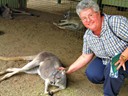 Kangroo (Pat)