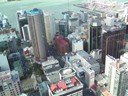 Sky Tower View (Harbour Wharf area)
