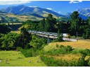 Tranzalpine Train