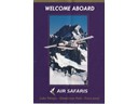 Air Safaris around Mt. Cook