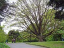 Botanic Gardens