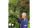 Botanic Garens Central Rose Garden (Pat)