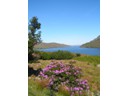 Killary Harbour