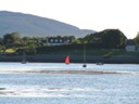 Sail boats