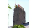 Flowers on Chimneys