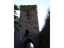 Flowers on church tower