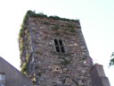 Flowers on church tower