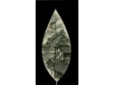 Banyan Leaf Paintings