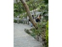 Many steps