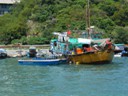 Boat People of Aberdeen Harbor