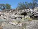 Trail to Montezuma Well