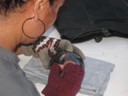Casas Grandes Pottery Making