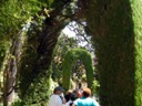 Garden of the Dance