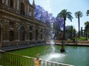 Garden of El Estanque