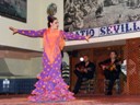Flamenco Show