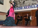 Flamenco Show