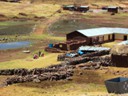 School near Sillustani Ruins