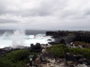 Blowhole