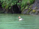 Lake Lucerne cruise