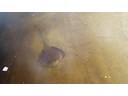 Sting Ray by Benson Home