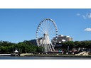 The Wheel of Brisbane