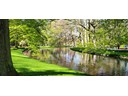 Keukenhof Gardems