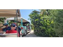 Tram around island