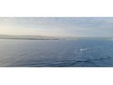 Pilot boat